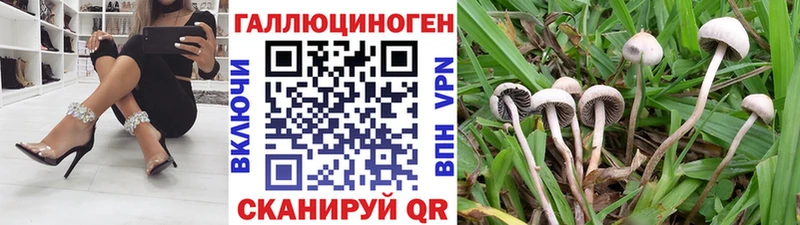 Псилоцибиновые грибы ЛСД  Краснокаменск 